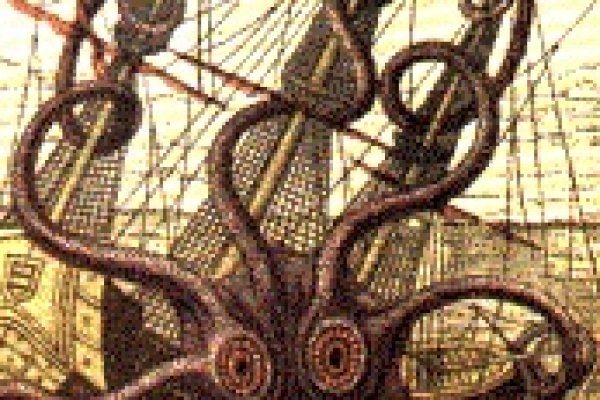 Kraken даркнет переходник